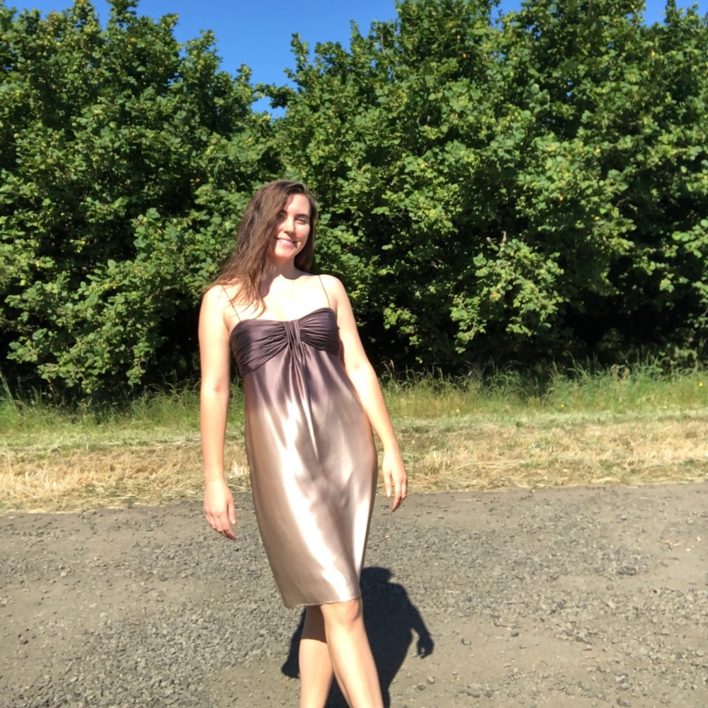 Calvin Klein size 8 brown gold ombré dress